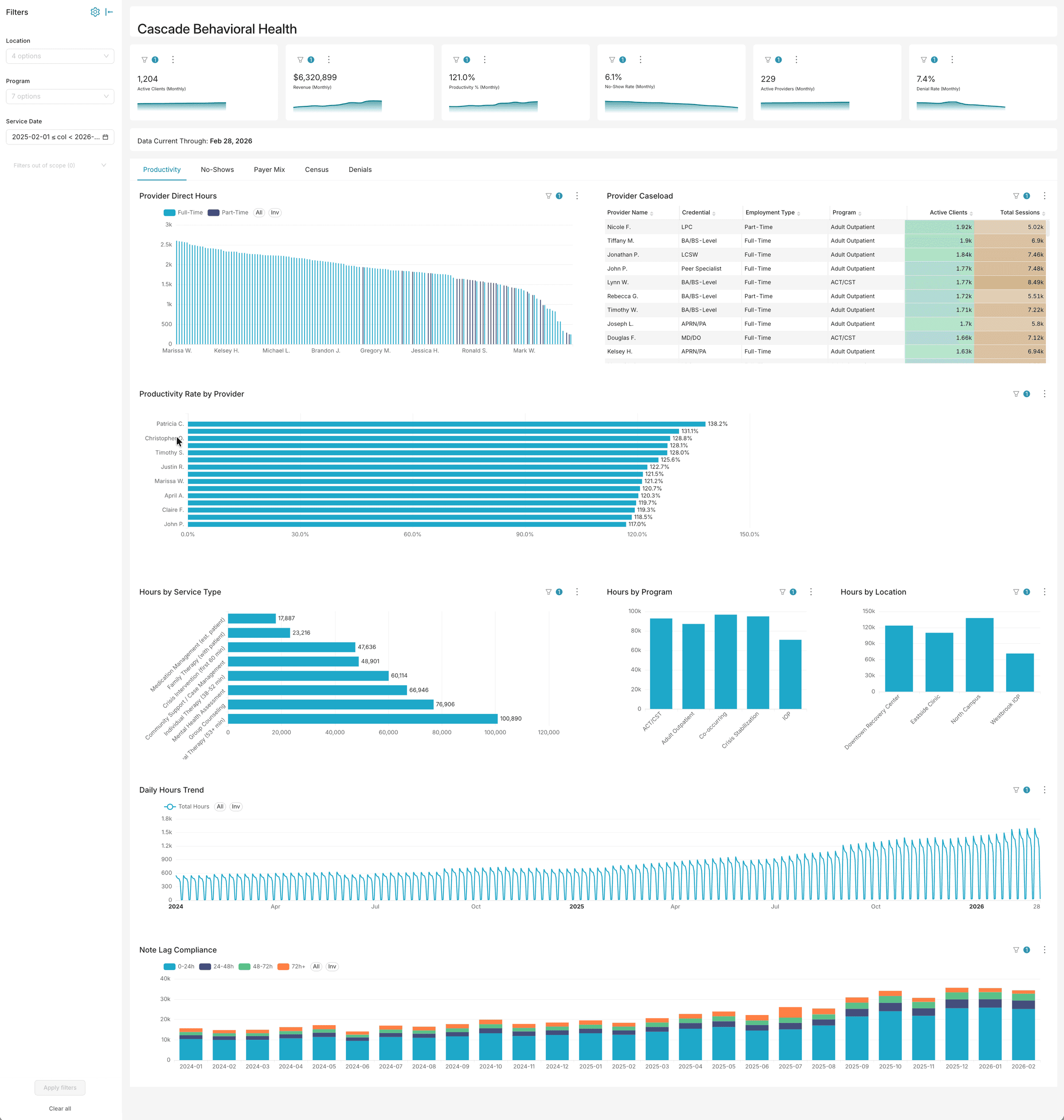 Provider productivity dashboard showing KPIs, caseload distribution, and daily trends